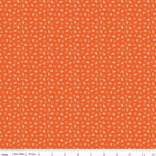 Peach Cobbler by Lily Ashbury-C17425-Meadow Orange- Riley Blake- Cotton Quilting Fabric- Lane to Grace