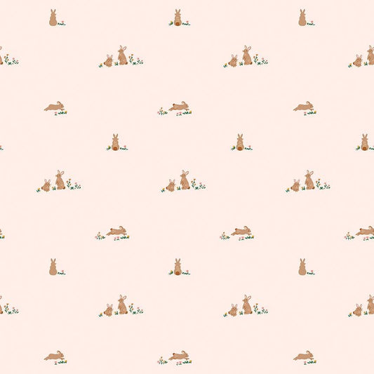 Sweet Cotton Tales- Flopsy Fields by Cayla Naylor-C17312-BLUSH- Riley Blake- Cotton Quilting Fabric- Lane to Grace