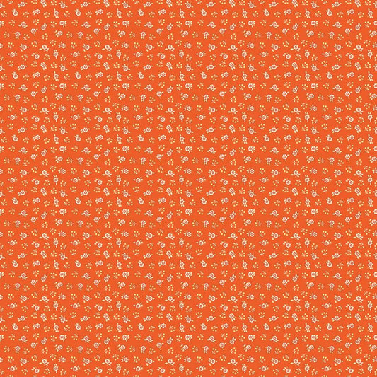 Peach Cobbler by Lily Ashbury-C17425-Meadow Orange- Riley Blake- Cotton Quilting Fabric- Lane to Grace