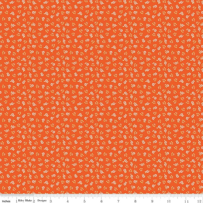 Peach Cobbler by Lily Ashbury-C17425-Meadow Orange- Riley Blake- Cotton Quilting Fabric- Lane to Grace